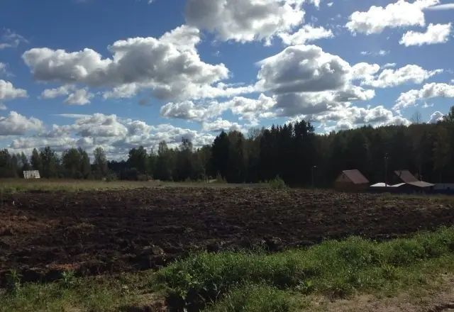 Лужское ДНП