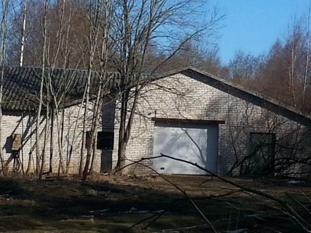 Кингисепп, Кингисеппский р-н, д. Большая Рассия