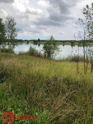 Проба массив