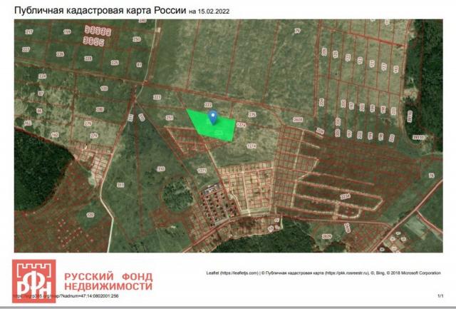 Новая Буря дер.