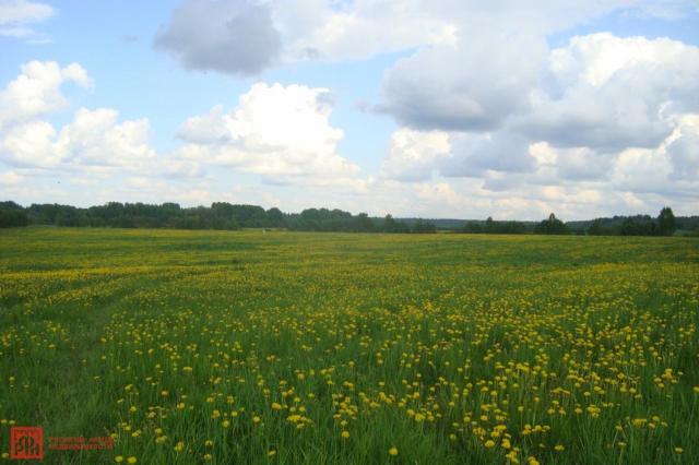 Синицыно пос.