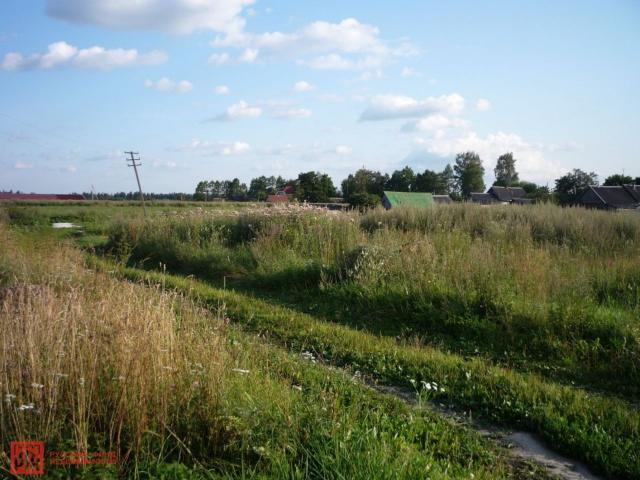 Копорье село