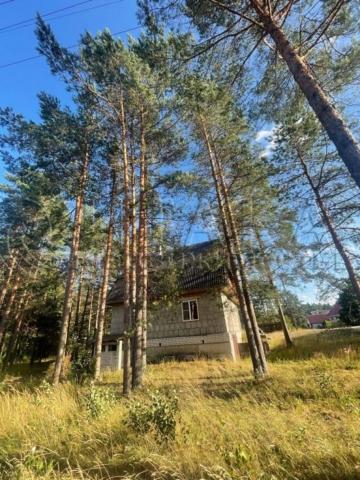 рп. Струги Красные