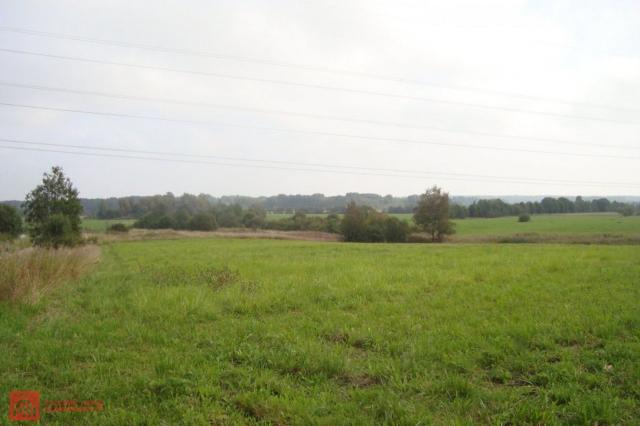 Синицыно пос.