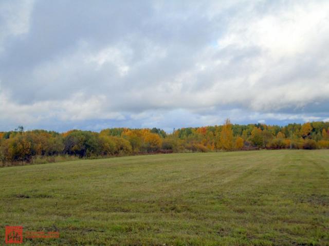 Синицыно пос.