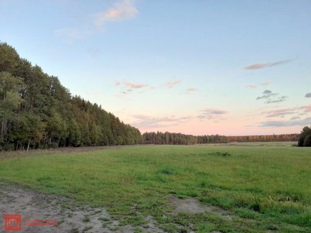 Вишневка пос.