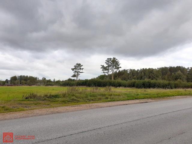 Пчелино пос.