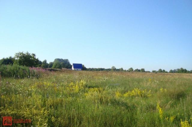 Пчелино пос.