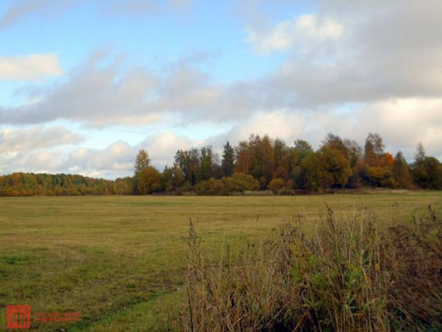 Синицыно пос.