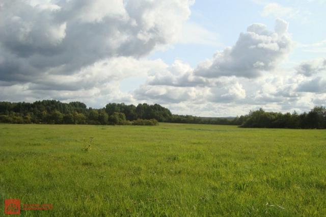 Синицыно пос.