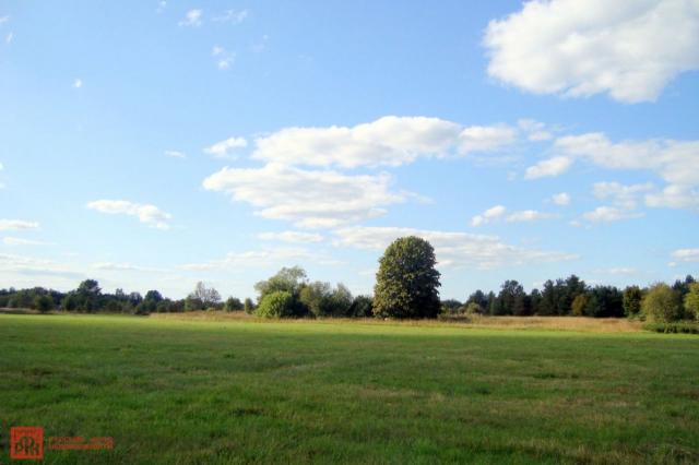 Пчелино пос.