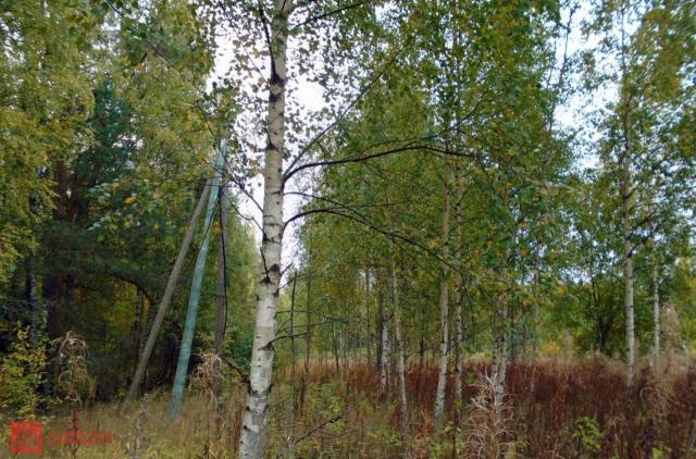 Грибное пос.