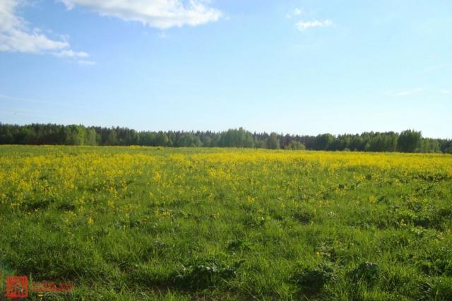 Синицыно пос.