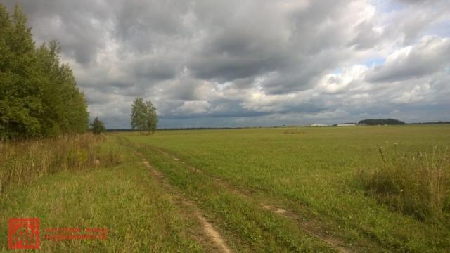 Курковицы дер.