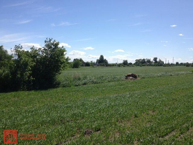 Волхов г., Волхов г.