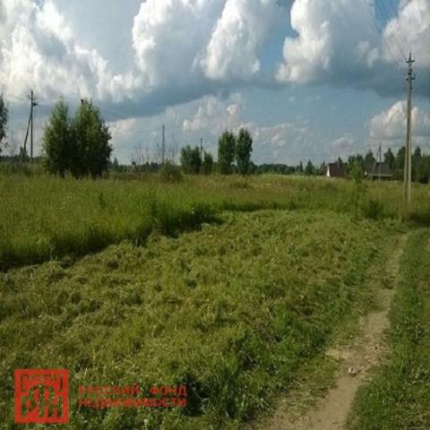 Бор дер.