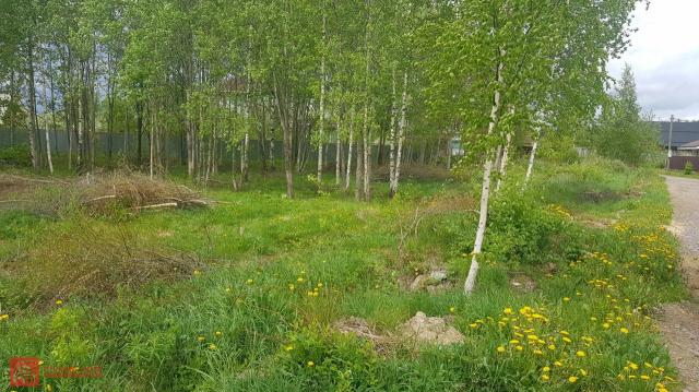 Шепелево дер., д 1