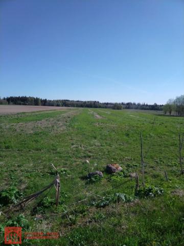 Губаницы дер.