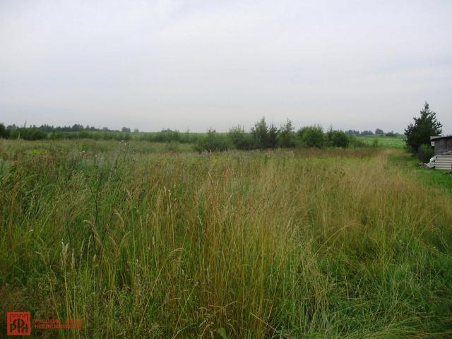 Капитолово дер.