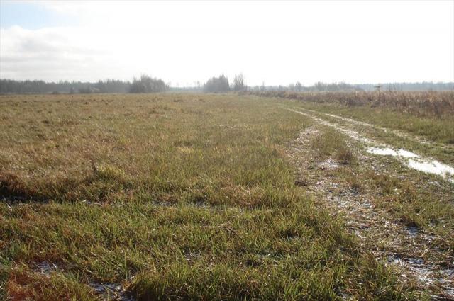 Поляны дер.