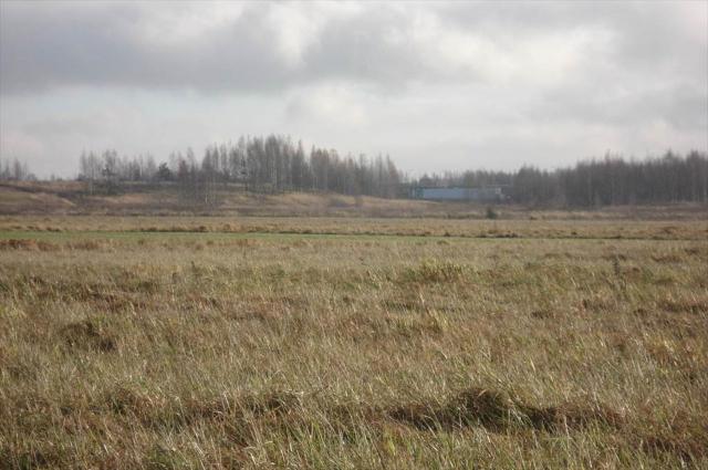 Путилово село