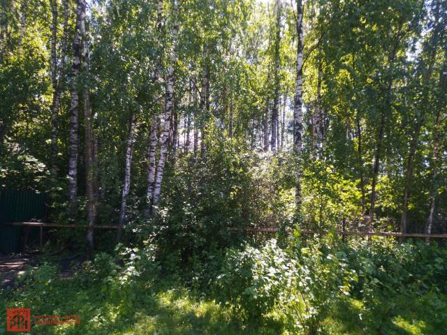 Блудное массив, Родничковое снт.