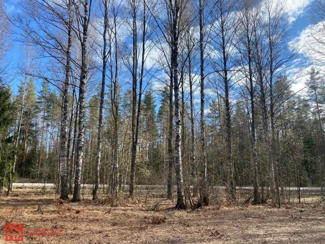 Вещево пос.