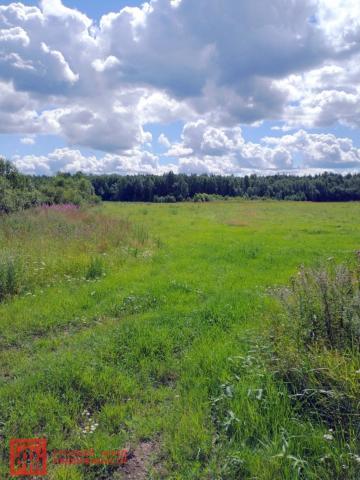 Климово пос.