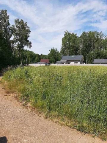 Каменногорское городское поселение,СНТ Забава, Участок на Светогорское  шоссе 15 км, 70