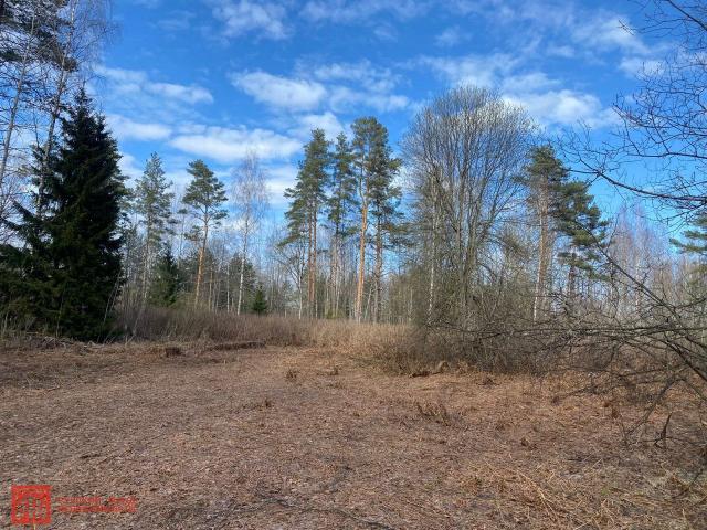 Вещево пос.