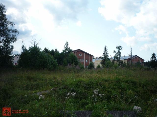 Заринское дер.