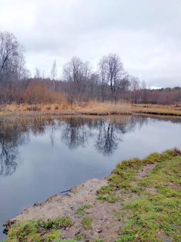 Камышовка дер.