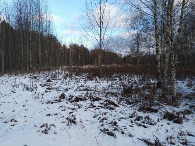 Проба массив