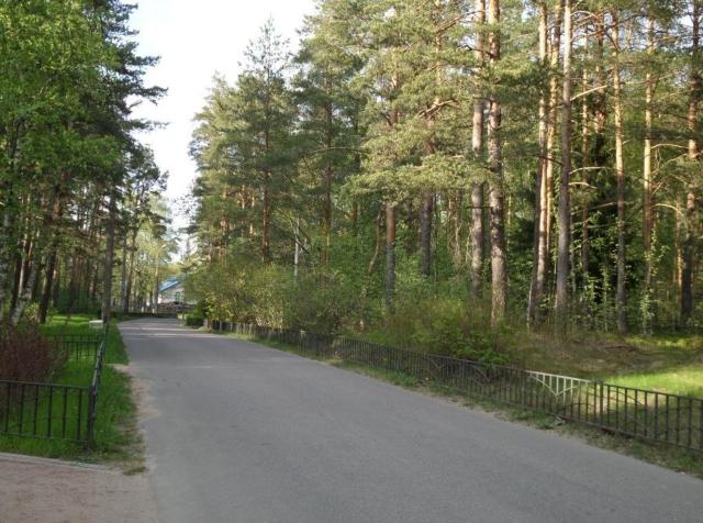 Солнечное пос., Петровская ул.