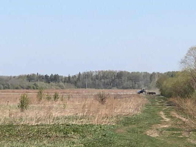 Малый Луцк дер.