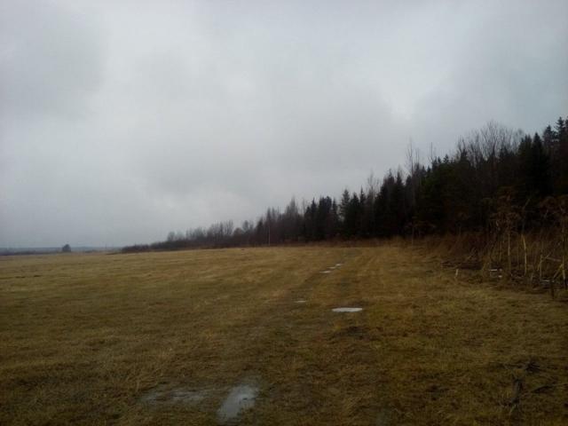 Гончарово пос.