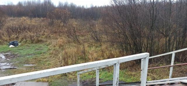 Турышкино дер.