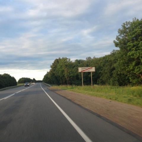 Зимитицы дер.