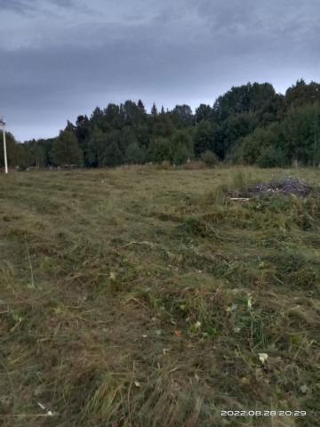 Лопухинка дер.