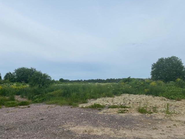 Лопухинка дер.