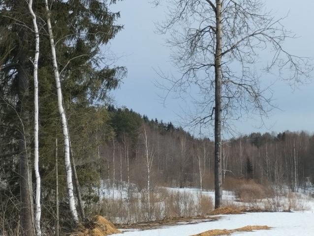 Аньялово дер.