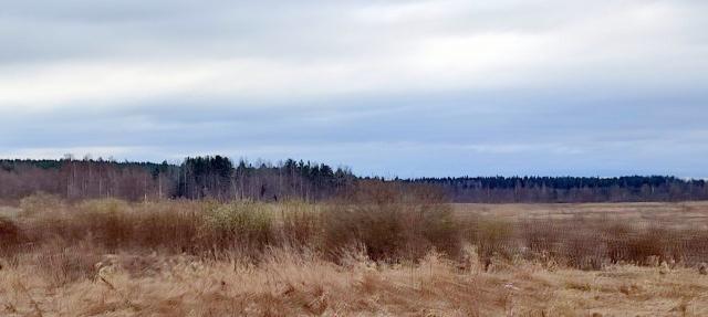 Староселье пос.