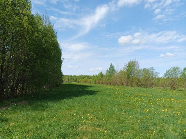 Поляны пос.