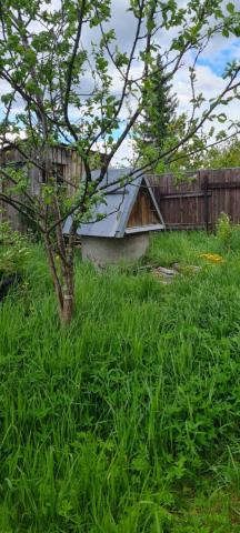 Новинка массив, Энергия снт