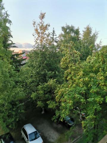 Сланцы г., Максима Горького ул., д 20а