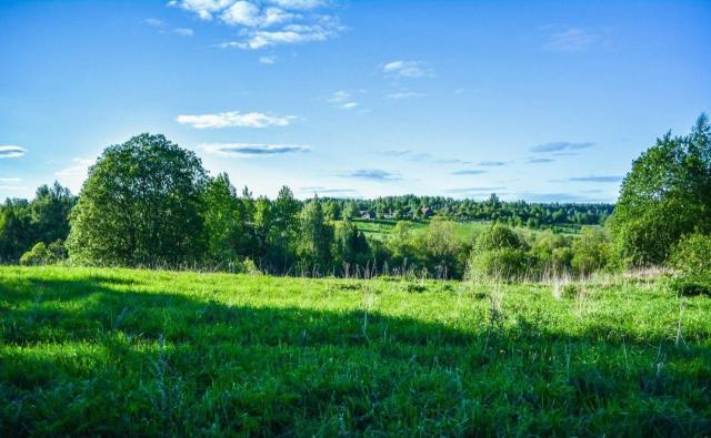 Заозерье дер. (Дзержинское)