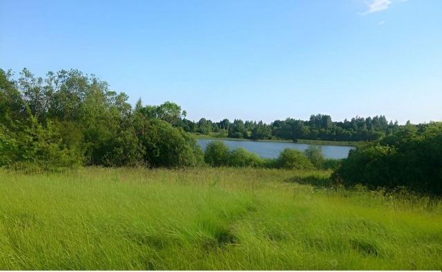 Заозерье дер. (Дзержинское)