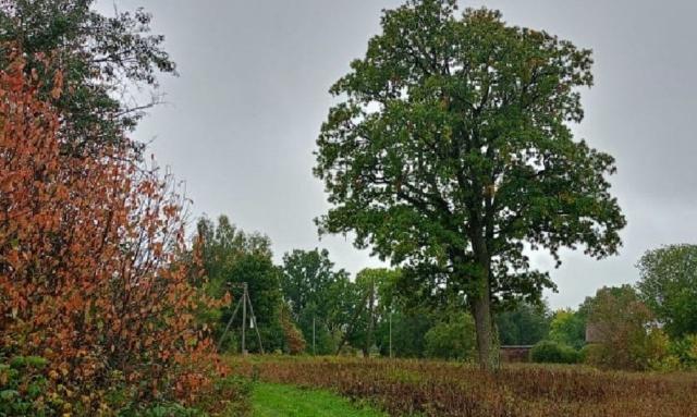 Удосолово дер.