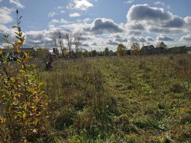 Моровино дер., Старая Деревня ул., д 6