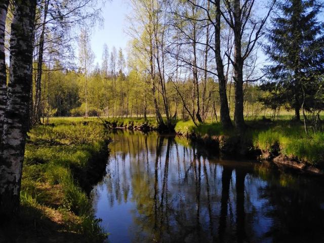 Раздолье пос., Центральная ул.